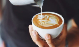 t91咖啡直播切片,品味时光，尽享咖啡香醇之旅